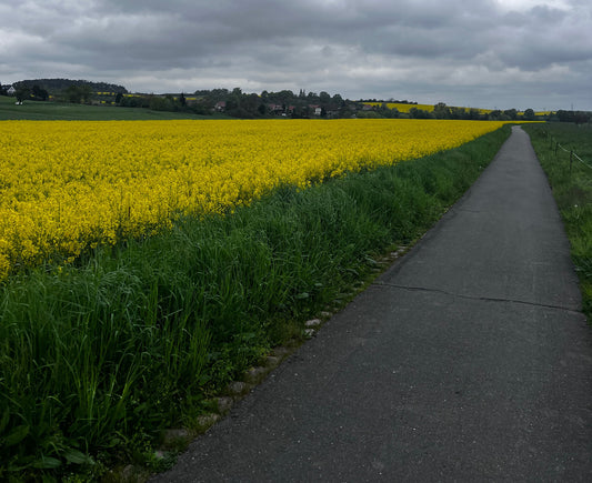 Plzeň to København — Part Two: Spring Markets, Long Miles, and Bodega Charcuterie